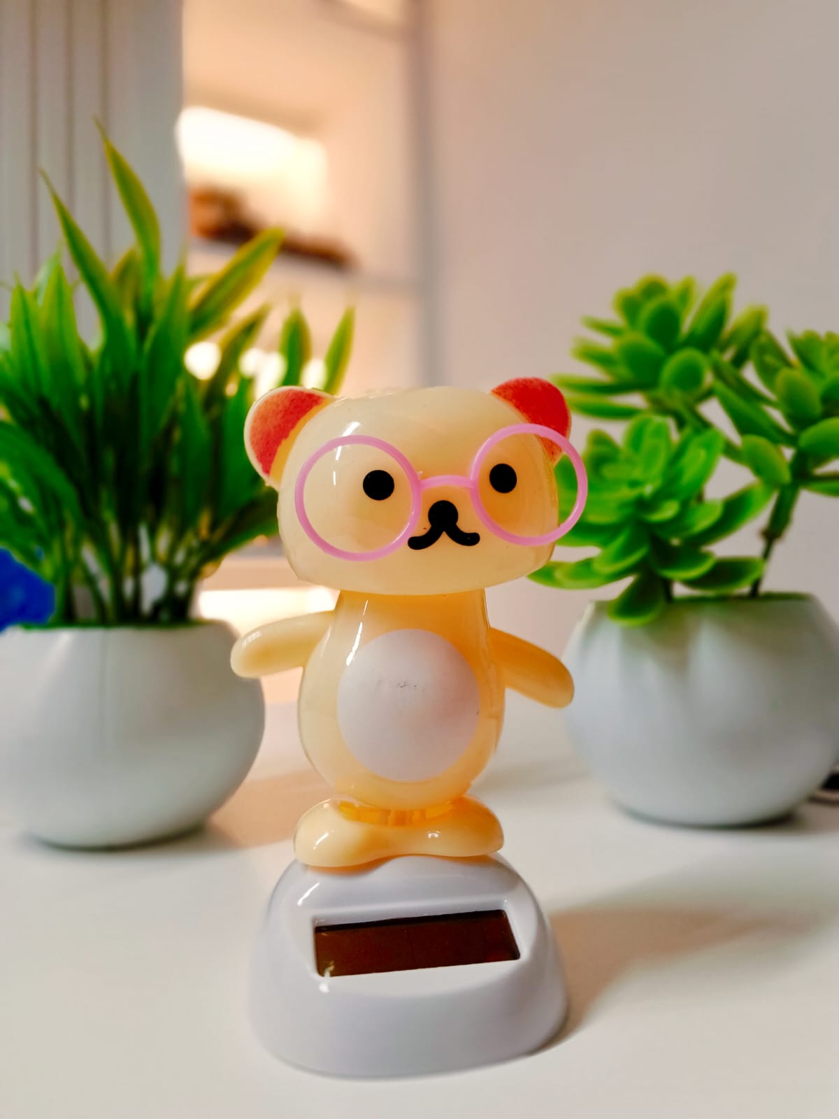 Solar Powered Dancing Pink Bear